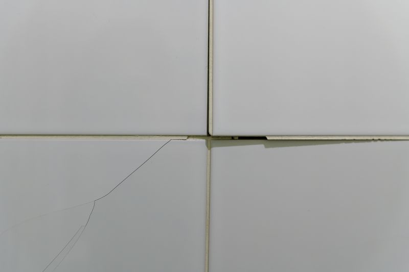 Tile Repair Work